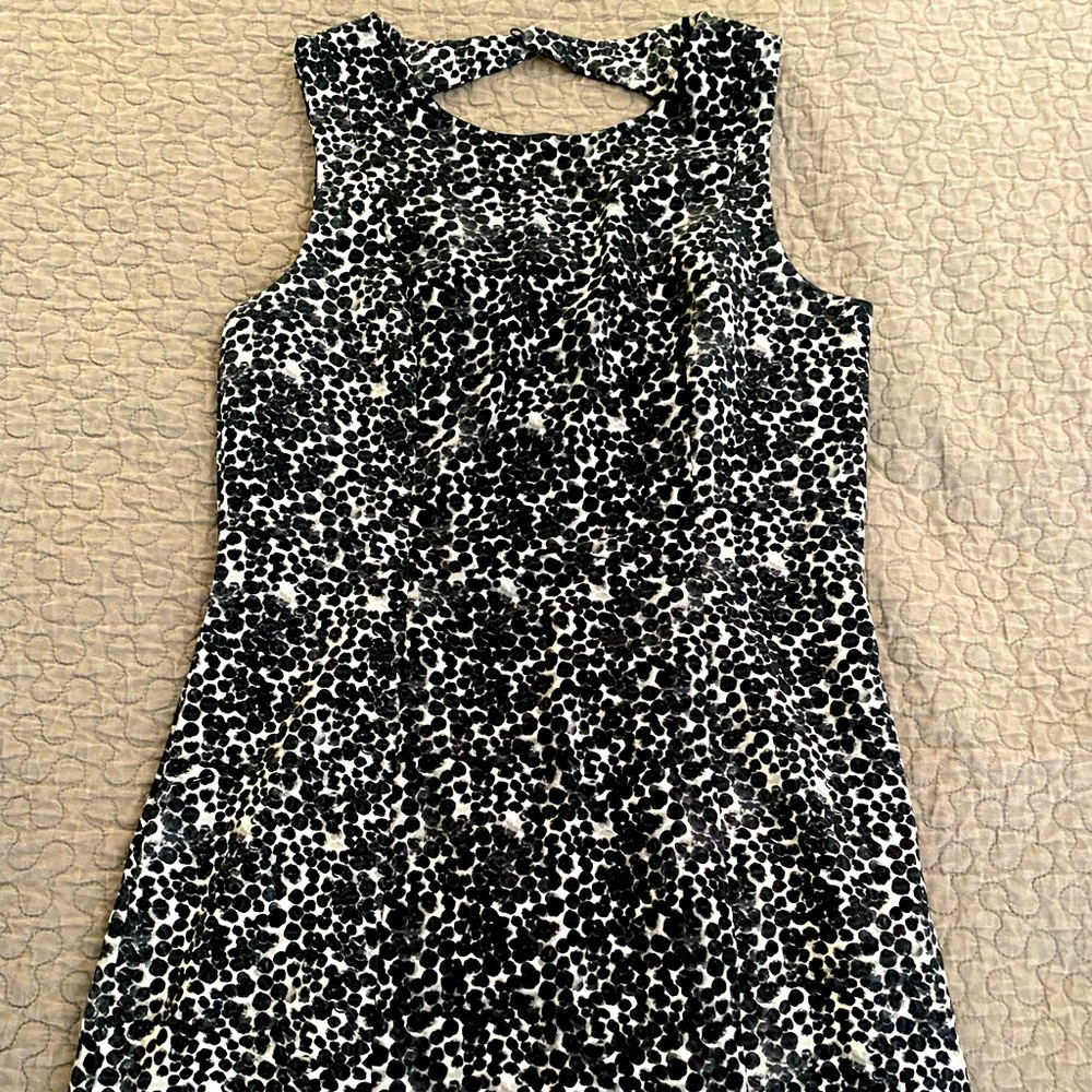 Work dress, very cute, can dress up or down with a work jacket or a denim jacket